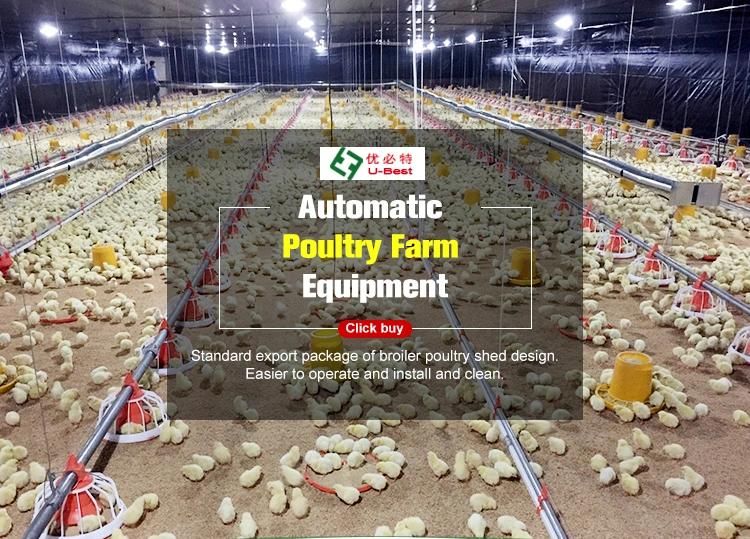 Complete Automatic Chicken Shed Farm Equipment Poultry Farming Equipment for Broiler Birds