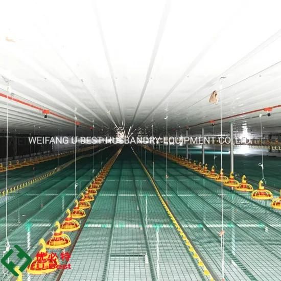 U-Best Type Automatic Broiler Feed System for Poultry Chicken Broiler Farm