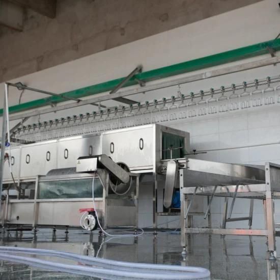 Automatic Poultry Slaughtering Machine (Frame type head neck plucker)
