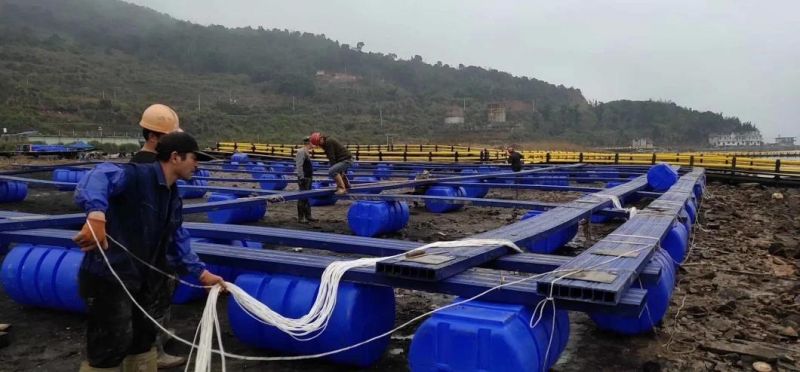 Floating Fish Farm Cage