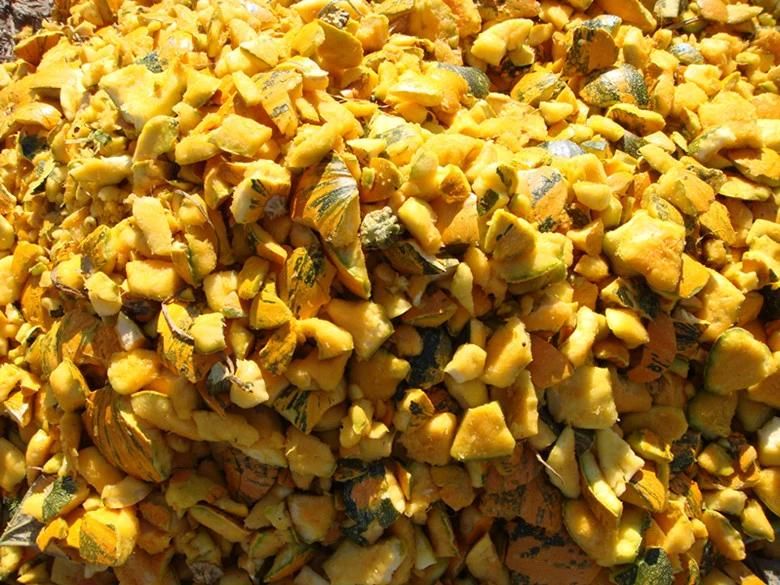 High Efficiency of Pumpkin Seeds Threshing Machine, Seed Extracting Machine, Shelling Machine Farm Machine