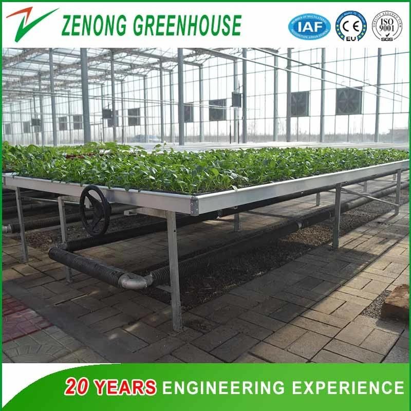 China Movable Seeding Bed for Seed Breeding of Vegetables/Flowers in Greenhouse