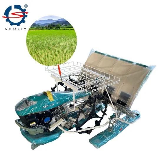 Rice Planter 6 Row Rice Planter Rice Transplanter Machine 2zs-4A with Gasoline Engine
