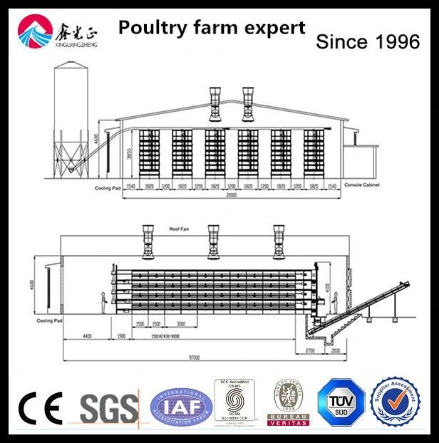Light Easily Built Technical Industrial Galvanized Meat Chicken Poultry Farm