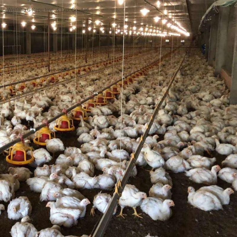 Automatic Broiler Chicken Farm Environment Control System