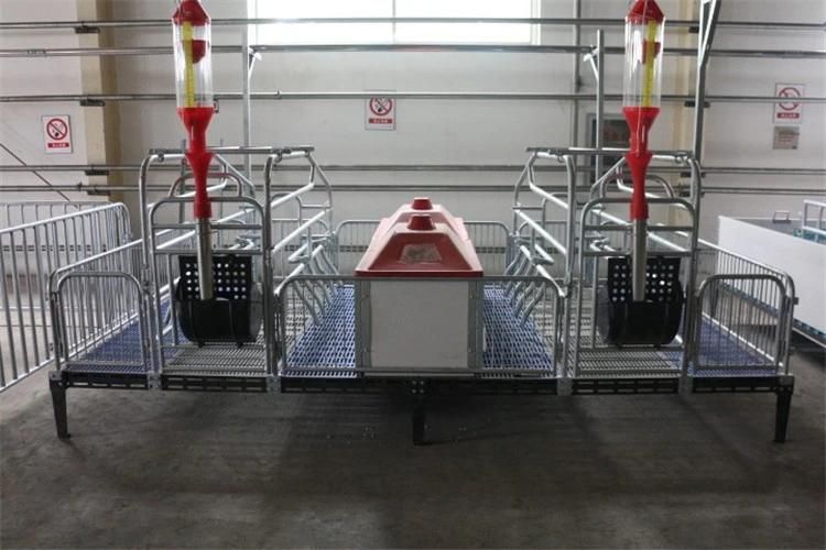 Pig Farming Equipment Sow Used Designed Pig Farrowing Stall