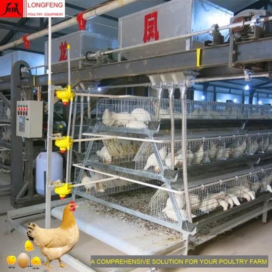 Longfeng Large Scale Farming High Density Good Price Professional Poultry Farm Equipment
