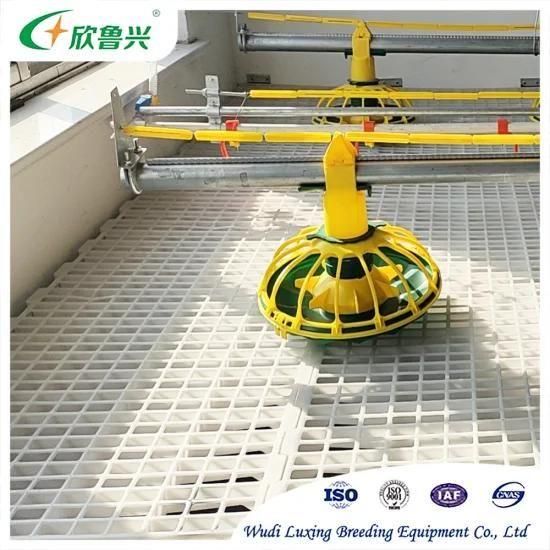 Fully Automatic Poultry Farming Feeding Line System Feeder Equipment for Broiler Chicken ...