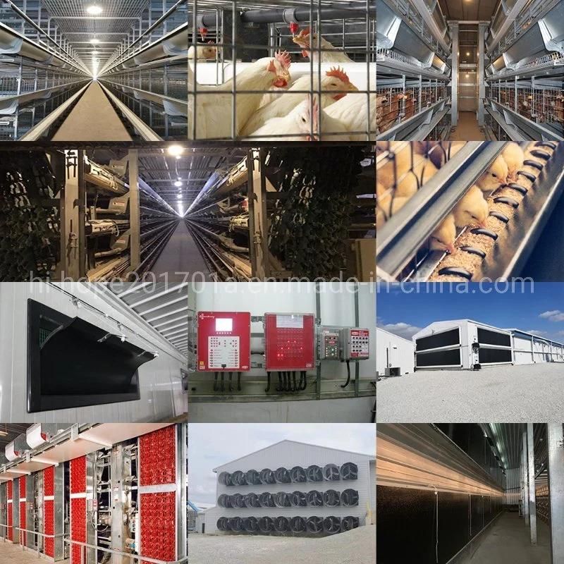 China Supplier Automatic Poultry Equipment Broiler Pan Feeder