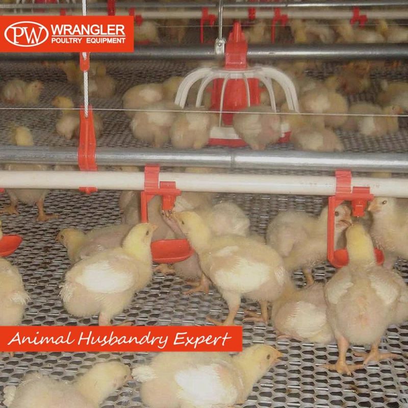 Best Price Chicken Nipple Drinker for Poultry Farm Equipment