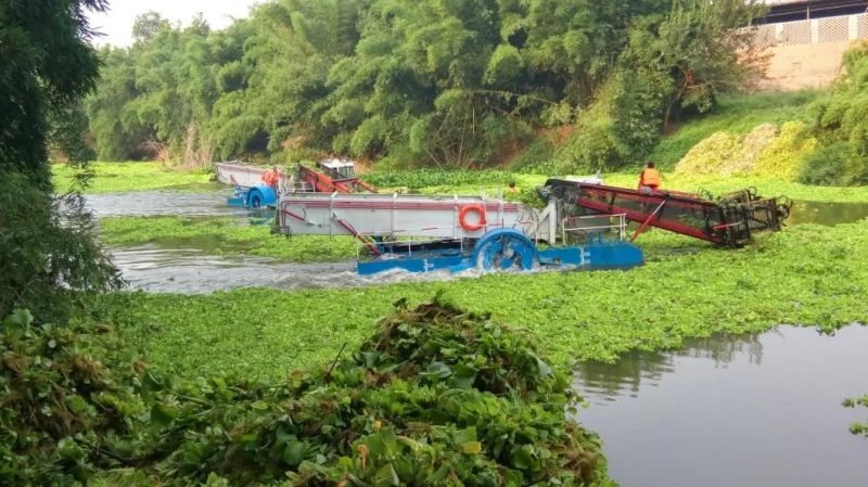 Aquatic Weed Harvesting Boat for Cleaning River Plant
