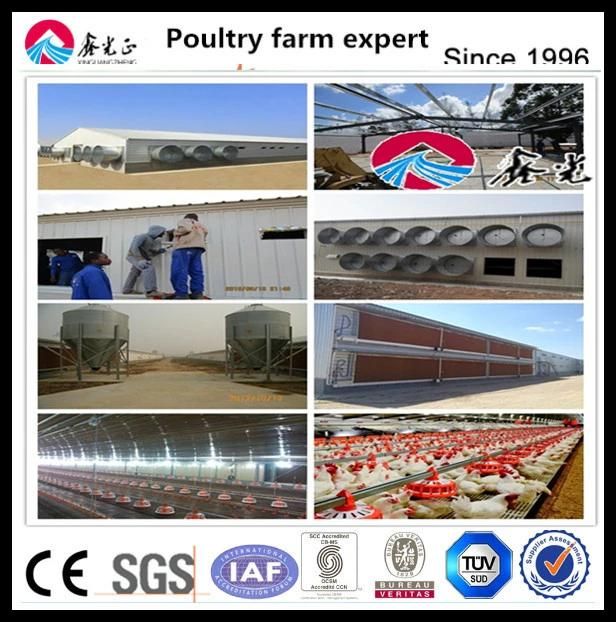 Full Set Automatic High Quality Broiler Equipment