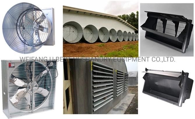 Poultry House Equipment Suppliers Poultry Plastic Feeder and Drinker Broiler Pan Feeding System