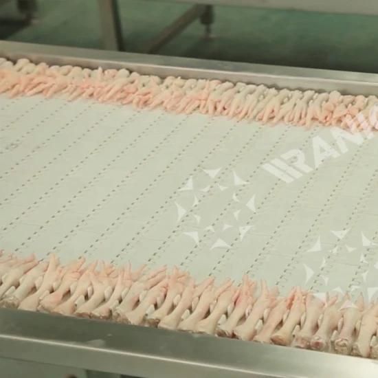 Qingdao Raniche Chicken Feet Processing Equipment for Chicken Abattoir