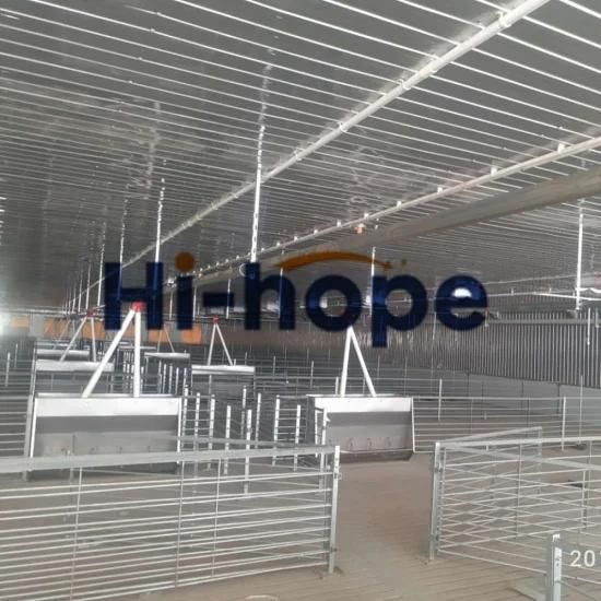 Pig Equipment Supplier Pig House Business Design Equipment with Building