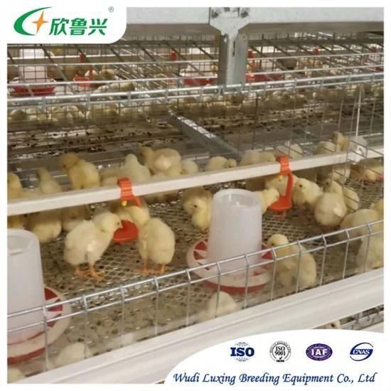 Hot DIP Galvanized Steel Battery Broiler Cage for Chicken Farm Shed