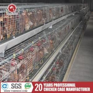 Atype Chicken Cage	Poultry Equipment (A3L90)
