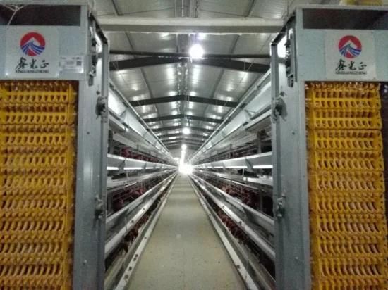 Steel Structure Chicken Poultry House with Complete Equipment