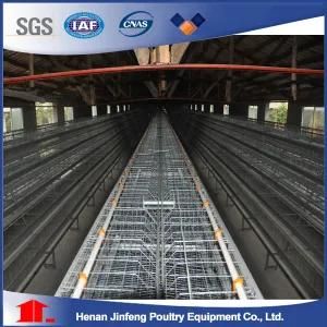 Hot Sale Poultry Farm Equipment Automatic Battery Design Layer Chicken