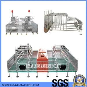 China Factory Galvanized Pig/Sow/Swine Farrowing Crates for Sale