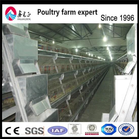 Hot Selling Africa Chicken Cage for Sale Automatic Chicken Layer Cage for Sale in ...