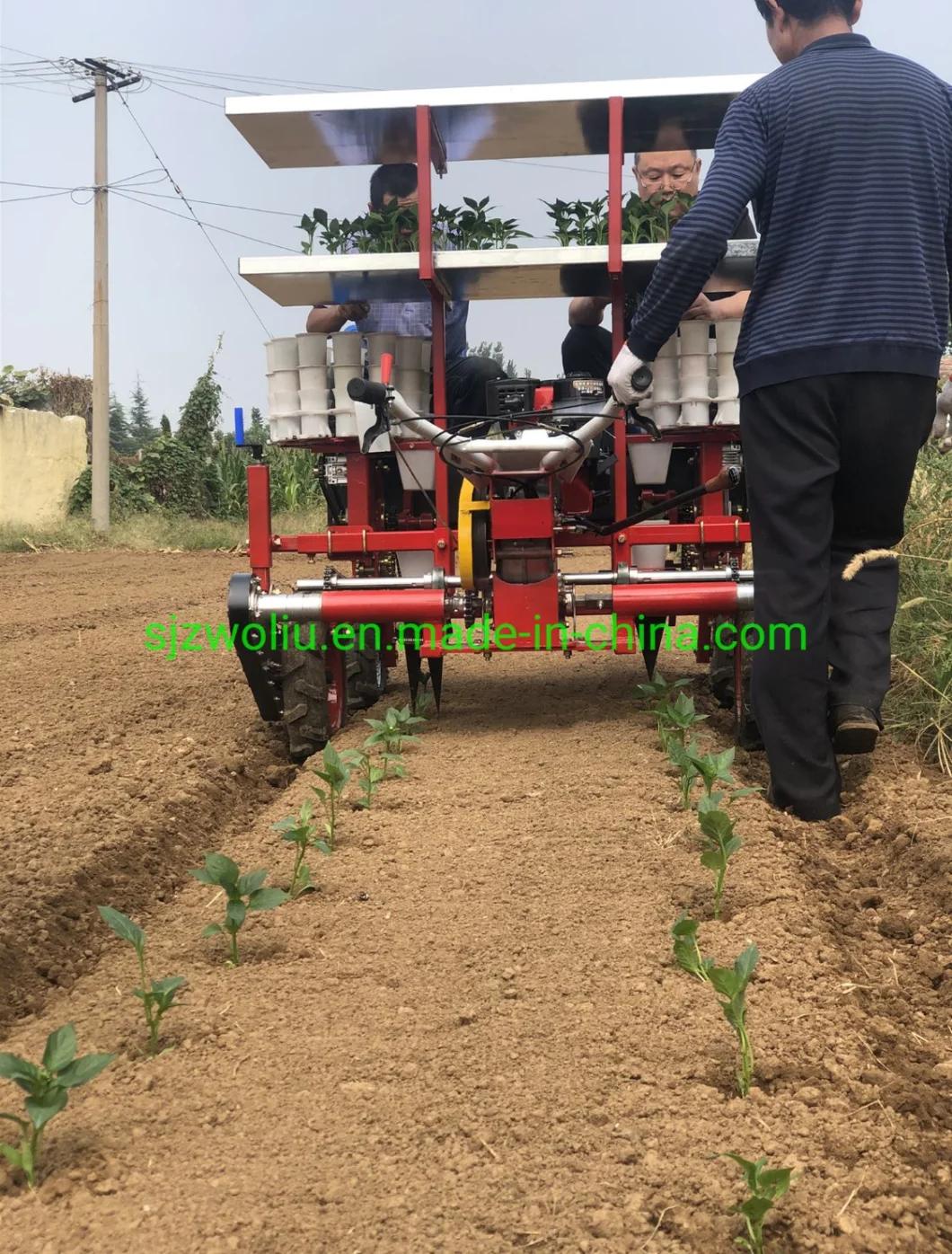 High Efficiency 2 Rows Onion, Watermelon, Tobacco, Cabbage Seedlings Transplanting Machine, Planting Machine