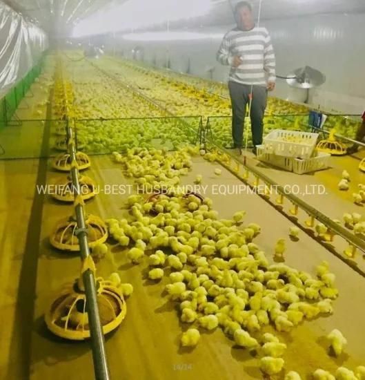 Automatic Broiler Chicken House Equipment for Poultry Farming