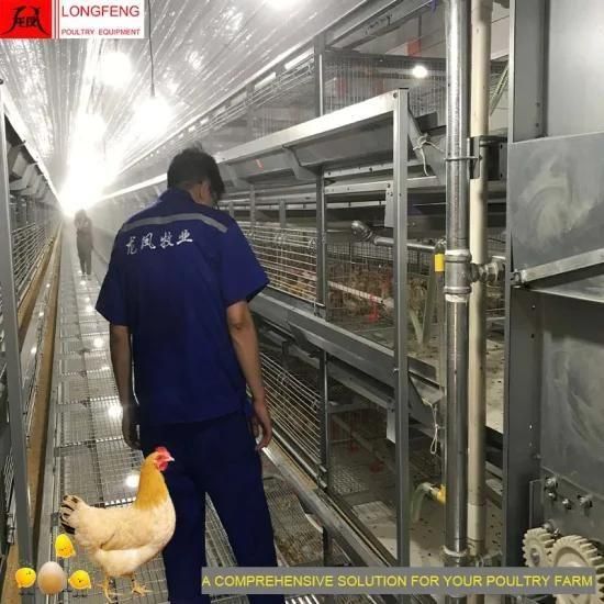 on-Site Installation Instruction Factory Comprehensive Solution Poultry Farm Equipment for ...