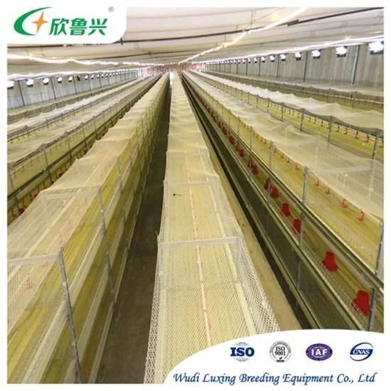 Fully Automatic Broiler Farm Battery Cage 3 Tiers 4 Tiers H Type Poultry Broiler Chicken ...