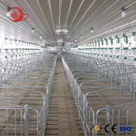 Pig Farm Equipment Customized Gestation Crate with 2.5 mm Galvanized