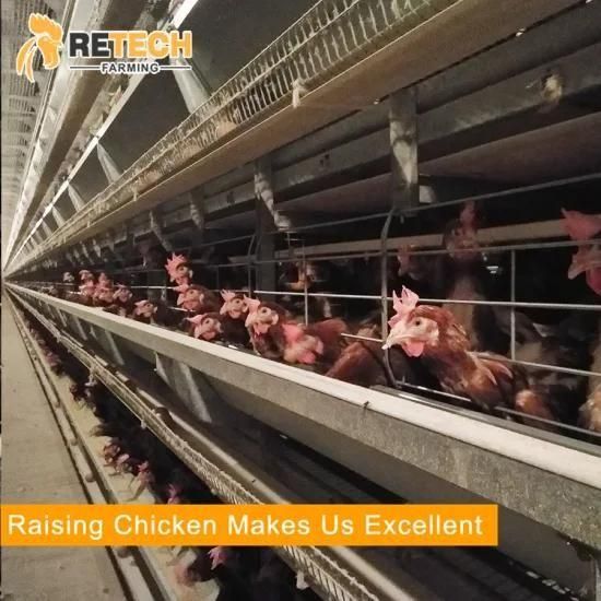 Automatic Low Price Layer Poultry Chicken Layer Cage Equipment