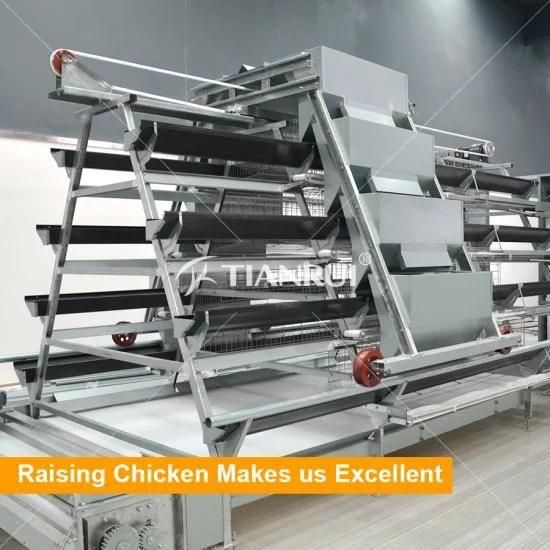 Factory price A type Automatic Chicken Battery Layer Cage System