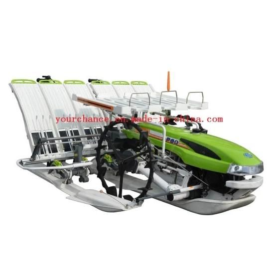 Philippines Hot Sale 2zx-625 6 Rows 250mm Rows Width Walking Type Rice Transplanter