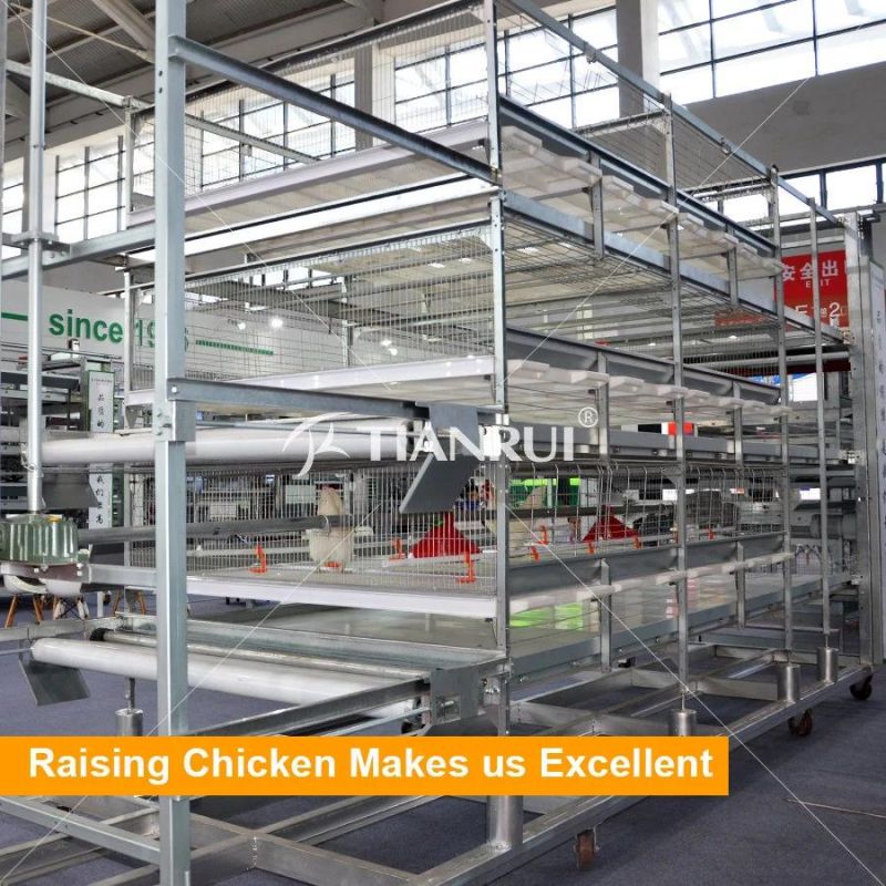 Qingdao  Automatic H Type Meat Broiler Chicken Cage for Sale