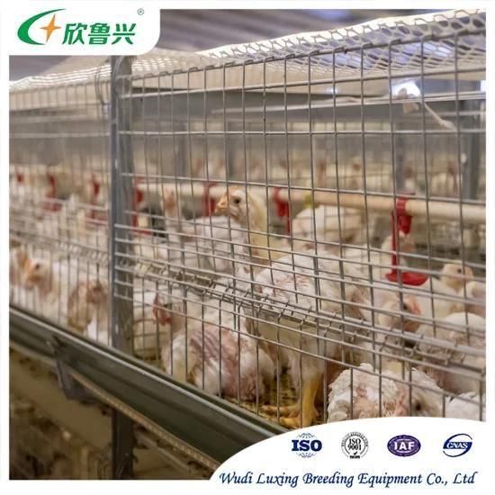 Broiler Farming Equipment Automatic Poultry Farm Cage System for with Automatic Feeding ...