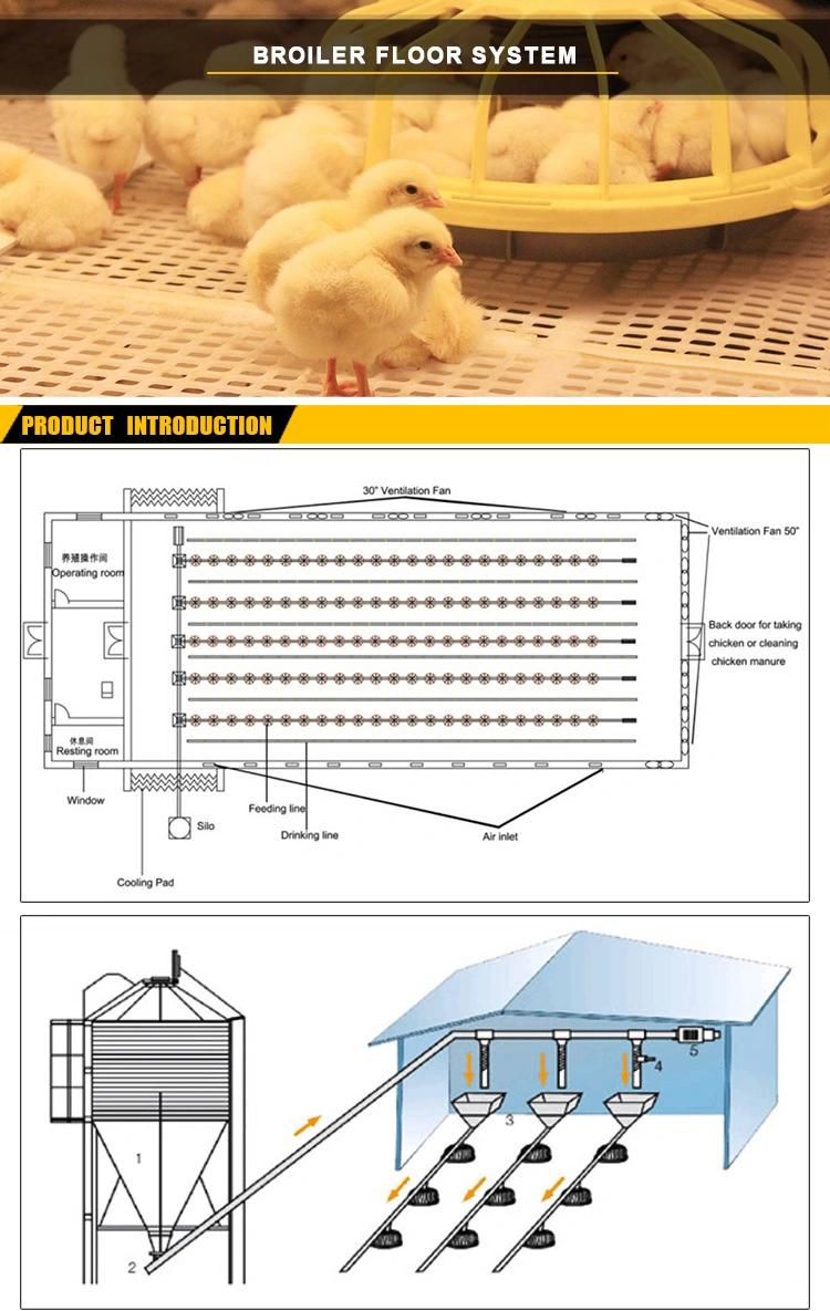 Retech Design Livestock Chicken Floor Raising Poultry Farm Equipment with Pan Feeding System