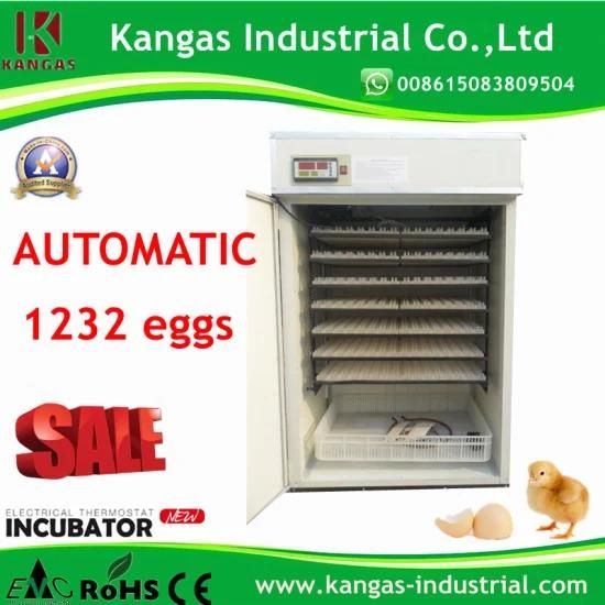 Fully Automatic Multifunction Small Bird Egg Incubator for Sale