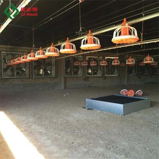 New Design Automatic Chicken Broiler Farm Equipment for Poultry