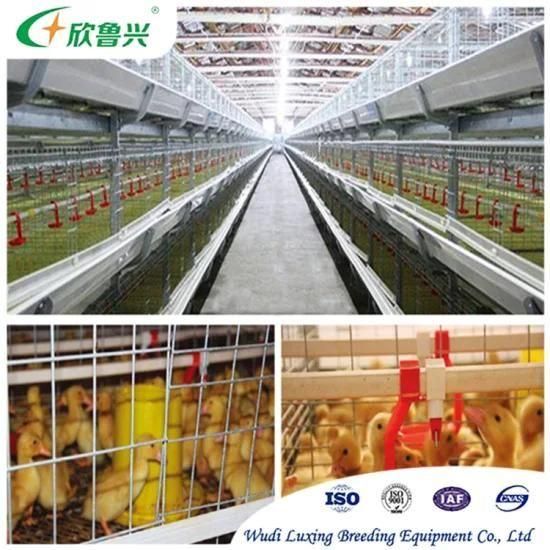 2021 Hot Dipped Galvanized Poultry Farm Battery Egg Layer Chicken Cage