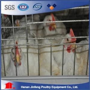 Hot Sell a Type Automatic Broiler Poultry Farming Equipment for Sale in India/Philippines/ ...