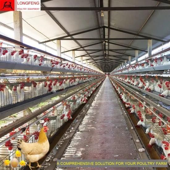 Longfeng on-Site Installation Instruction Manure Belt Removing Chicken Cage Factory