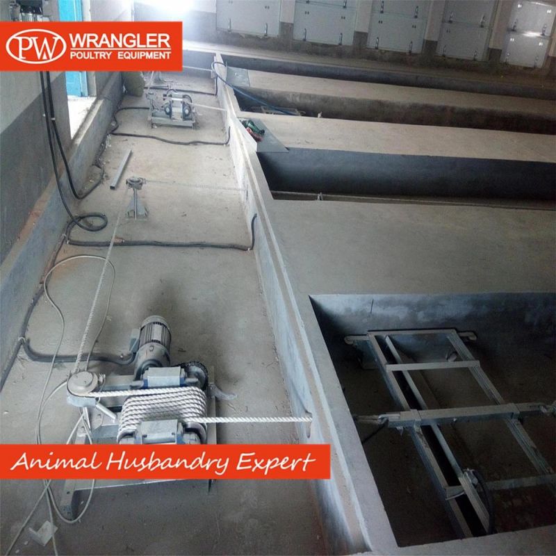Poultry Farm Equipment Automatic Chicken Ground Breeding