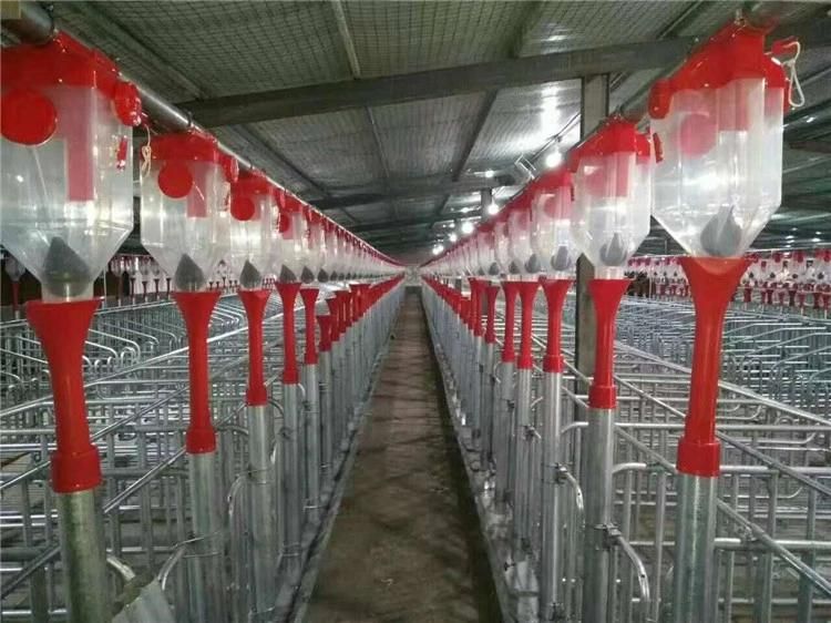 High Quality Chain Auger Conveying Pig Feeding System