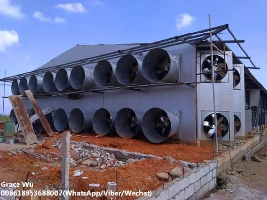 Double Deck Philippines Houses Prefabricated Tunnel Ventilation System Poultry House for ...