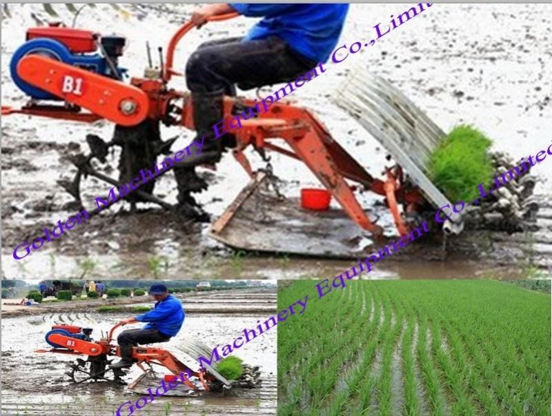 China Rice Planting Seeder Paddy Rice Planter Transplanter
