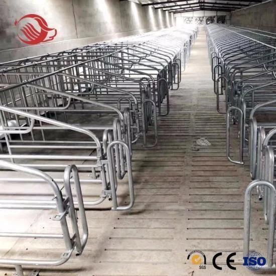 Sow Used Livestock Farming Equipment Gestation Crate
