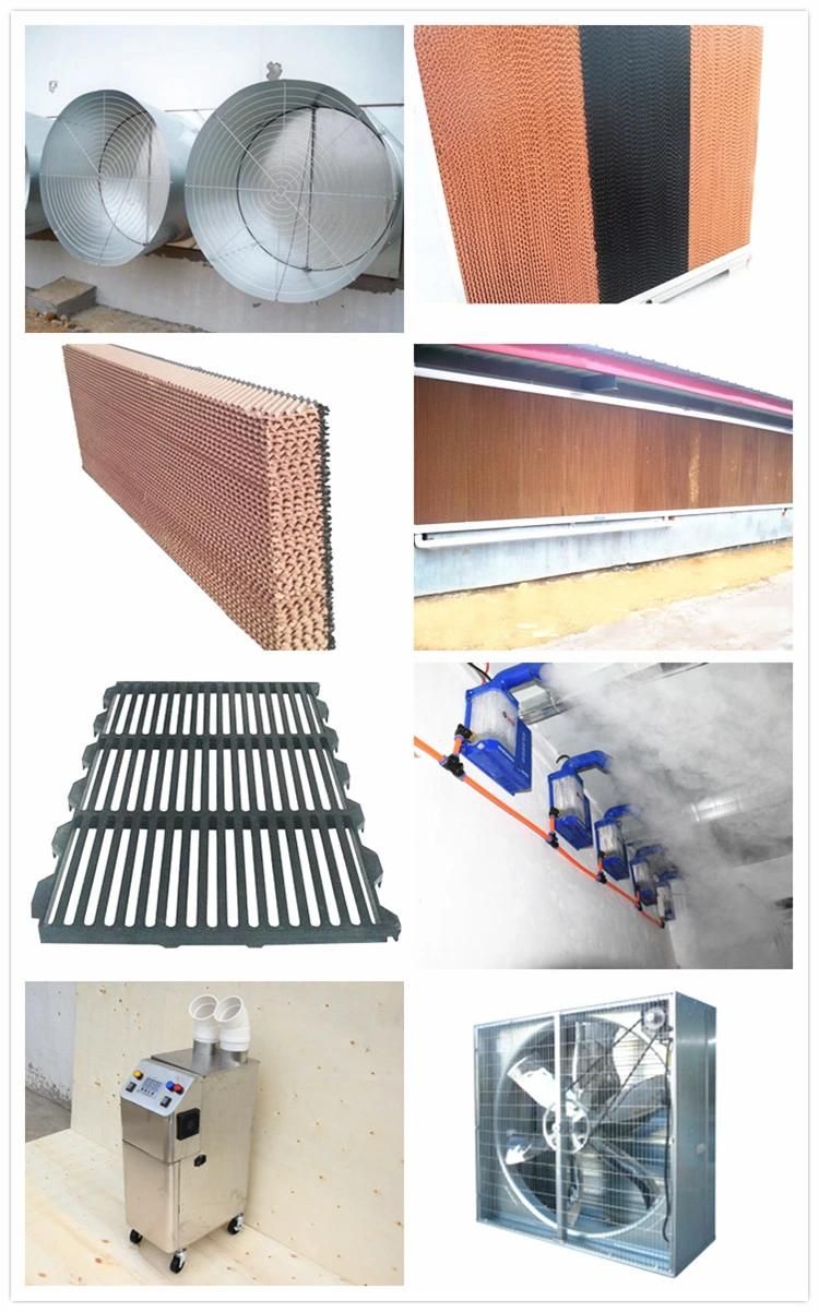 High Quality PP Material Made Plastic Slat Floor for Pig