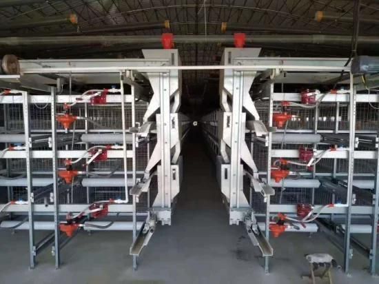 Automatic Chicken /Poultry Battery Cage System/Battery Layer Poultry House Cage for ...