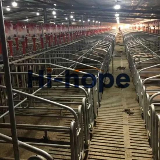 Automatic Pig Farm House Equipment Design with Pig Steel Structure Building