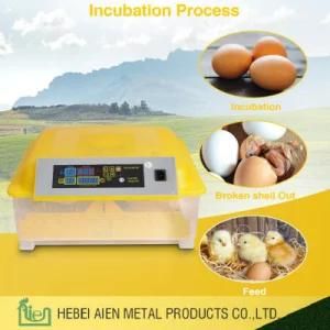 Automatic Mini Chicken Egg Incubator with Low Price